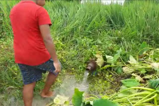 water-coming-automatically-from-tube-well-bankura-people-facing-problem