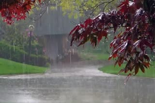 tamil nadu rain update  rain  rain update  heavy rain  weather report  Meteorological Center  chennai Meteorological Center  chennai news  climate  சென்னை செய்திகள்  மழை  கனமழை  வானிலை ஆய்வு மையம்  சென்னை வானிலை ஆய்வு மையம்  வானிலை  வானிலை அறிக்கை  தமிழ்நாட்டில் மழை நிலவரம்