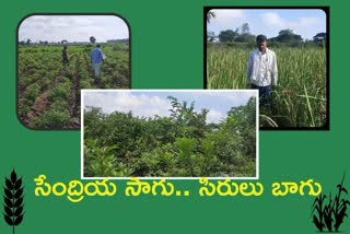 organic farming, farmers tips