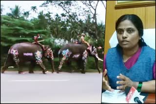 Municipal corporator give clarification about disrespecting of dasara elephants