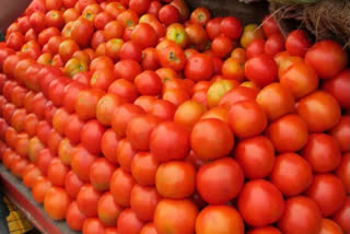 Retail tomato prices