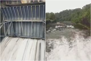 Ponmudi dam  Ponmudi dam opened  heavy rain  heavy rain in kerala  പൊന്മുടി അണക്കെട്ട്  പൊന്മുടി അണക്കെട്ട് തുറന്നു  ജലനിരപ്പ്  സംഭരണ ശേഷി