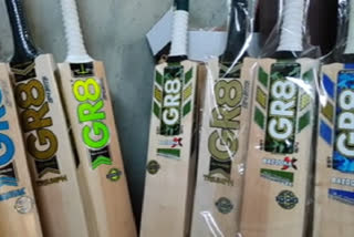 Kashmir willow cricket bat to sport in T20 World Cup