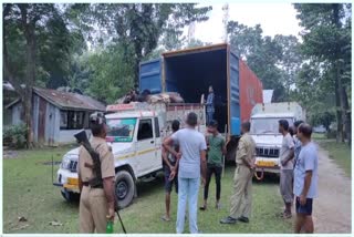 two person arrested with smuggled cattle at Assam Bengal border