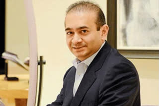 Nirav Modi