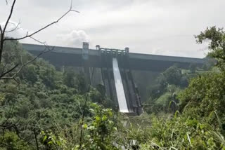 idukki dam opened  idukki dam opened news  idukki dam opening news  idukki dam opening  one lakh litre water released news  one lakh litre water released per second news  idukki dam  idukki dam news  idukki dam shutters opening news  idukki dam shutters opening  ഇടുക്കി ഡാം വാര്‍ത്ത  ഇടുക്കി ഡാം  ഇടുക്കി ഡാം തുറന്നു വാര്‍ത്ത  ഇടുക്കി ഡാം തുറന്നു വാര്‍ത്ത  ഇടുക്കി ഡാം മൂന്ന് ഷട്ടറുകള്‍ തുറന്നു വാര്‍ത്ത  ഇടുക്കി ഡാം മൂന്ന് ഷട്ടറുകള്‍ തുറന്നു  ഇടുക്കി ഡാം 1 ലക്ഷം ലിറ്റർ വെള്ളം  ഇടുക്കി ഡാം 1 ലക്ഷം ലിറ്റർ വെള്ളം വാര്‍ത്ത  2018 ഇടുക്കി ഡാം വാര്‍ത്ത  മഹാപ്രളയം ഇടുക്കി ഡാം വാര്‍ത്ത  ഇടുക്കി ഡാം 2018 വാര്‍ത്ത  ഇടുക്കി ഡാം 2018