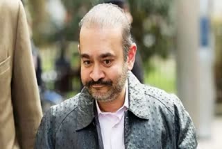 Nirav Modi