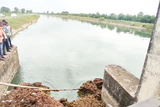 boy who went to bathe in canal