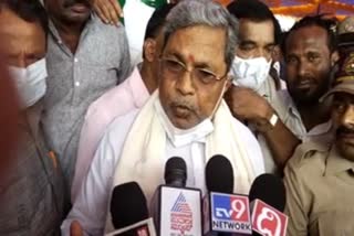 Nalin kumar kateel is a politician without maturity - Siddaramaiah