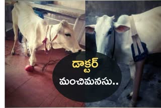 MADHYA PRADESH became the first state to make artificial legs for animals