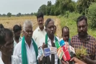 'குருவை பயிர்களுக்கு இழப்பீடு வழங்கிட வேண்டும்'