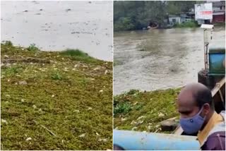 removal of waste from thottappally spillway started  thottappally spillway  removal of waste from thottappally spillway  തോട്ടപ്പള്ളി സ്‌പിൽവേ  തോട്ടപ്പള്ളി സ്‌പിൽവേയിൽ നിന്ന് മാലിന്യങ്ങൾ നീക്കിത്തുടങ്ങി  കുട്ടനാട്  ജലസേചന വകുപ്പ്