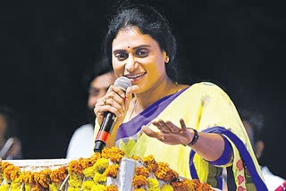 ys-sharmila-padayatra-starts-from-today-in-telangana