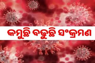 STATE CORONA: ଦିନକରେ 559 ପଜିଟିଭ ଚିହ୍ନଟ, 71 ଶିଶୁ ଆକ୍ରାନ୍ତ