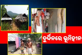 ଦୁର୍ଦ୍ଦିନରେ ଭୂମିହୀନ ଧୁବଲେଙ୍କ ଅବସ୍ଥା