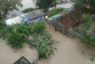 जोगबनी में बाढ़ का नजारा