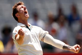 james pattinson takes retierment from international cricket