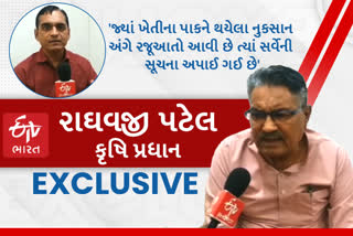 Raghvji Patel  Exclusive Interview: 546 કરોડના કૃષિ પેકેજ ઉપરાંતના અન્ય જિલ્લાના ખેડૂતોને લાભ મળશે? થઈ સ્પષ્ટતા