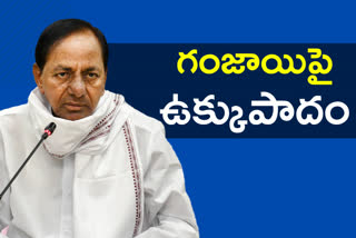 cm kcr orders to officials to make Telangana as drugs free state