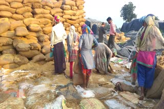 sand being mixed in sacks