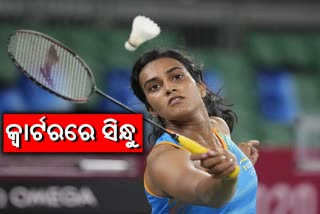 Denmark Open: PV Sindhu progresses to quarterfinals