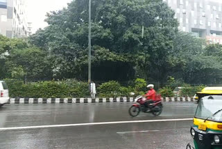 Northeast monsoons