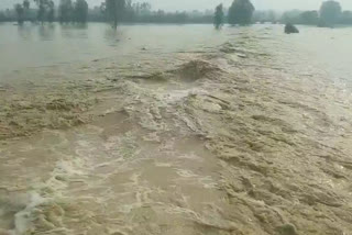 heavy rainfall, water level increase in moradabad