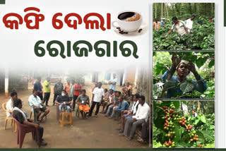 a success story of Community development over coffee farming in Koraput