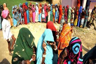 Panchayat Election 2021,Panchayat elections in Alwar and Dholpur, alwar news, Dholpur News, Rajasthan News