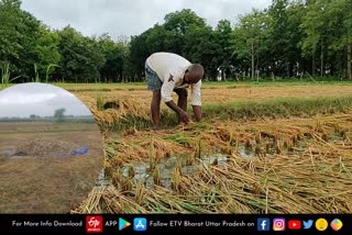 किसानों को मिलेगा मुआवजा.