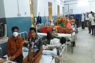 Dengue sting in Kota, Kota News, Rajasthan News