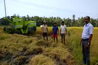 Huge cost  for private paddy harvesting machine at udupi