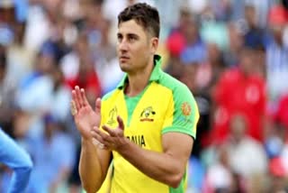 Marcus Stoinis  टी 20 विश्व कप  मार्कस स्टोइनिस  दक्षिण अफ्रीका  ऑस्ट्रेलिया क्रिकेट टीम  खेल समाचार  t20 world cup  south africa  australia cricket team  sports news