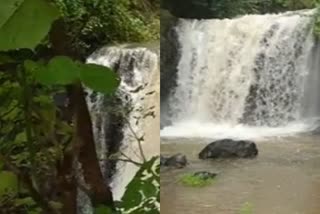 Vattayi waterfalls thrissur  Vattayi waterfalls  thrissur  kerala tourism  tourism spot in kerala  വെള്ളച്ചാട്ടം  പൂഞ്ചോല  ടൂറിസം  തൃശൂര്‍  ജലസ്രോതസ്സ്