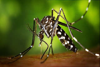 UP reports first case of Zika virus