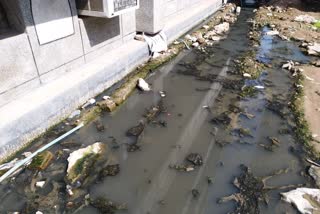 sanitation-is-the-big-problem-in-wazirabad