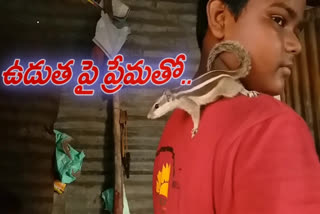 ఆ ఇంట్లో ఒకరిగా మారిన ఓ ఉడుత కథ..!