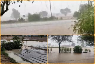 नीमराणा में बारिश,  बारिश से बढ़ी ठंड, alwar neemrana news