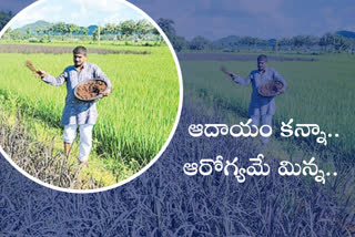 east-godavari-young-man-succes-story-on-organic-farming
