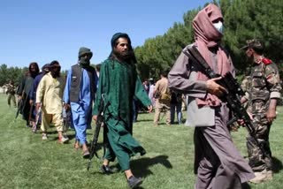 17 people  killed in clashes between taliban group of armed men in herat, afghanistan