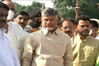 TDP leaders