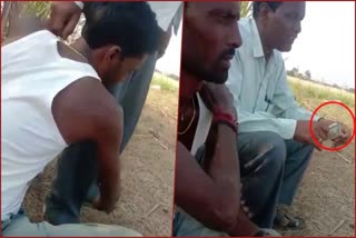 pdo-video-viral-while-getting-bribe-from-farmer