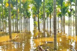 heavy-rain-in-davanagere