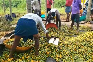betel-nut-theft-cases-rising-in-davanagere-district