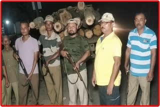 illegal wood seized at parbatjhora