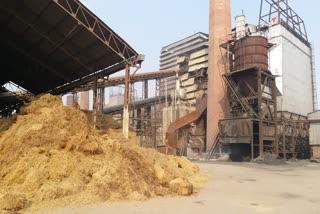 Paddy Harvesting Haryana