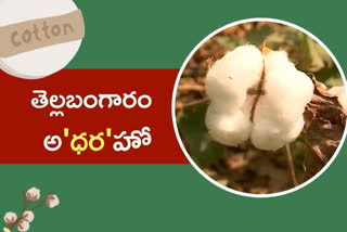 huge demand for cotton in Nalgonda district