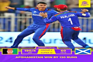 Afghanistan  Scotland  टी 20 वर्ल्ड कप  अफगानिस्तान  स्कॉटलैंड  शारजाह क्रिकेट स्टेडियम  Sports News in Hindi  खेल समाचार