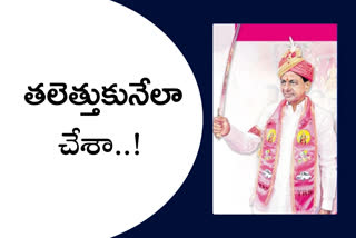 trs-plenary-grandly-celebrated-in-hitex-in-hyderabad