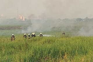 bushes caught fire near eastern bhandup highway mumbai